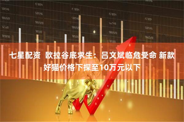 七星配资  欧拉谷底求生：吕文斌临危受命 新款好猫价格下探至10万元以下