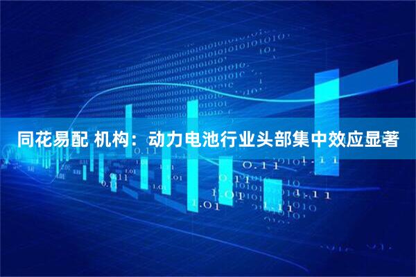 同花易配 机构：动力电池行业头部集中效应显著